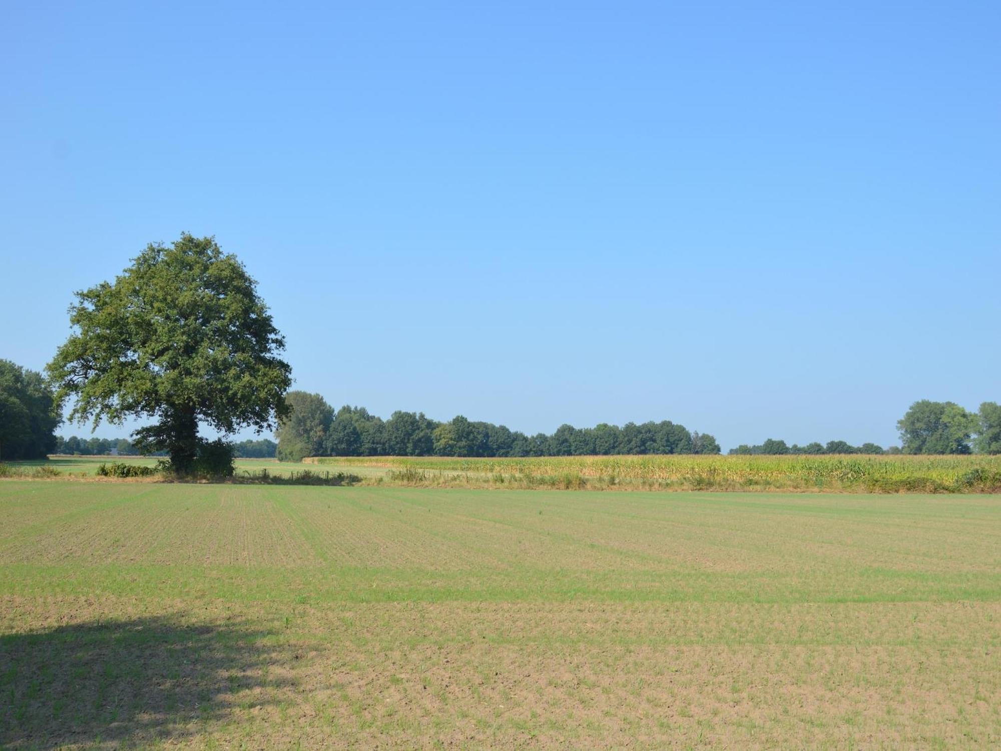 Quaint Farmhouse In Geesteren With Meadow View Extérieur photo