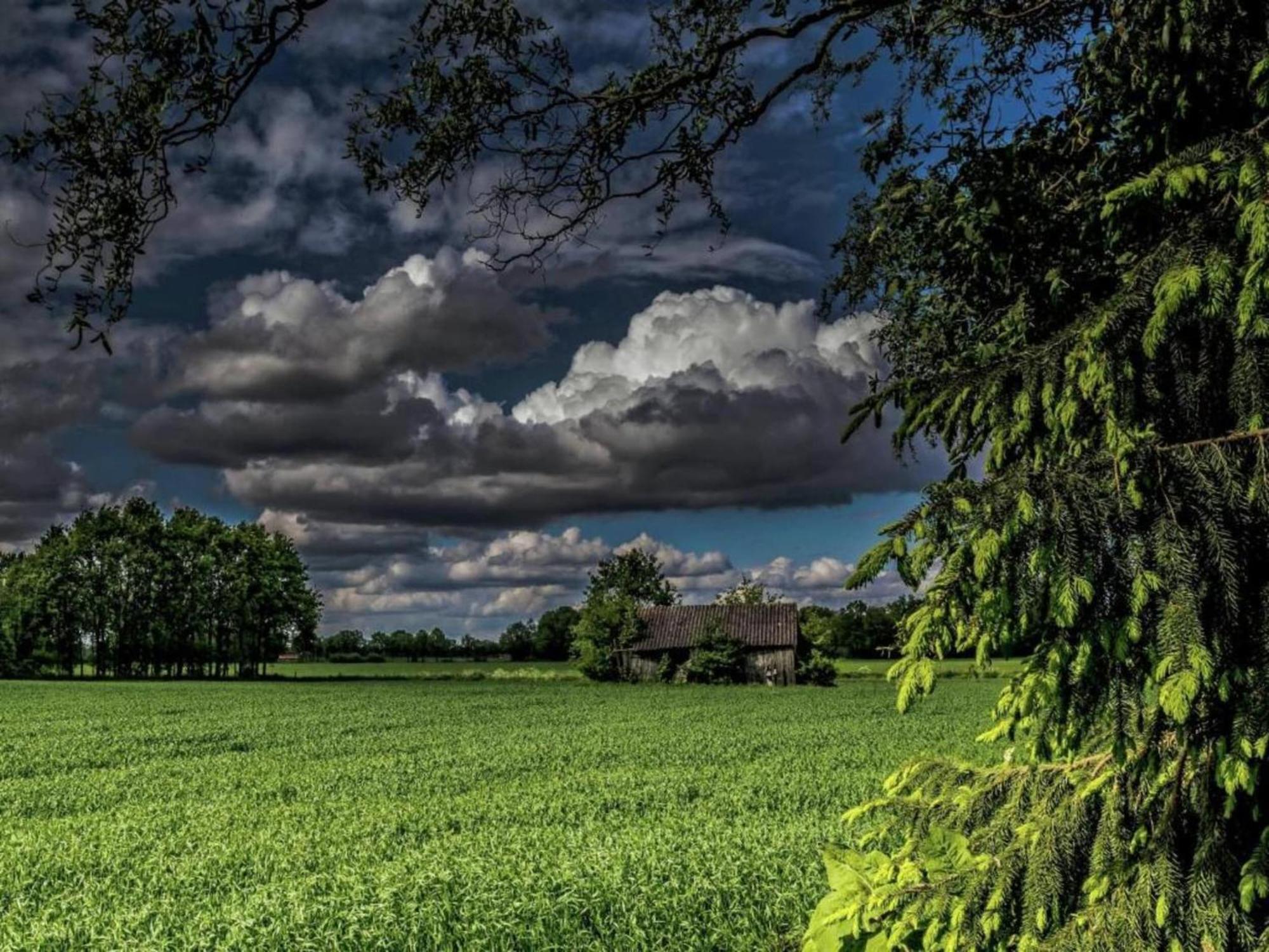 Quaint Farmhouse In Geesteren With Meadow View Extérieur photo